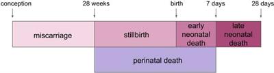 Malaria in pregnancy: adverse pregnancy outcomes and the future of prevention